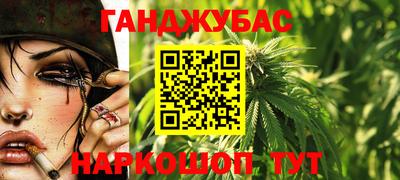 крисы Братск