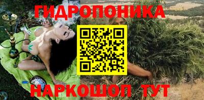 крисы Братск